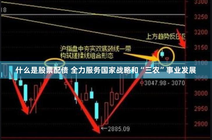 什么是股票配债 全力服务国家战略和“三农”事业发展