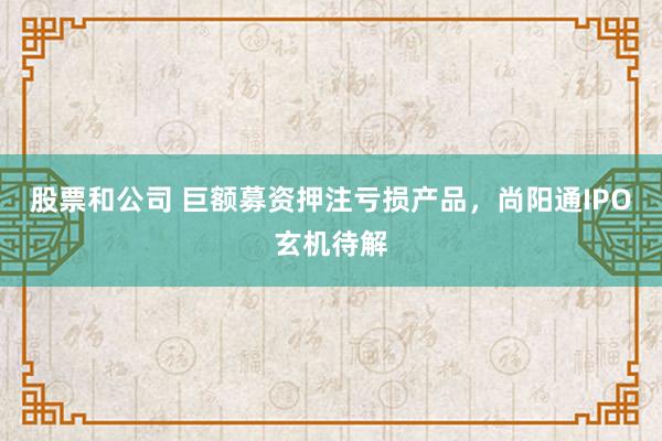 股票和公司 巨额募资押注亏损产品，尚阳通IPO玄机待解