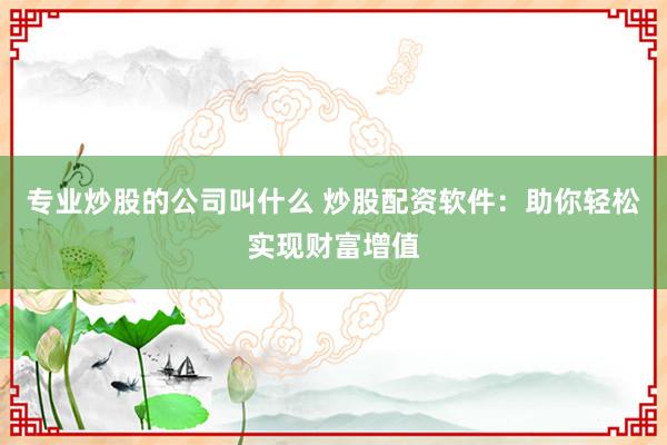 专业炒股的公司叫什么 炒股配资软件：助你轻松实现财富增值